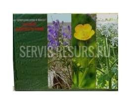 Гербарий / Ядовитые растения (20 видов) формат А-3 Гербарий / Ядовитые растения (20 видов) формат А-3