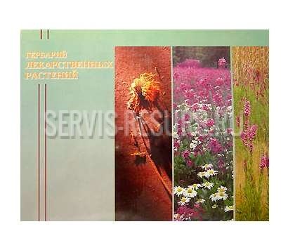 Гербарий / Лекарственные растения (20 видов) формат А-3 Гербарий / Лекарственные растения (20 видов) формат А-3