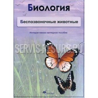 Интерактивные наглядные пособия. Биология. Беспозвоночные животные. (CD, DVD-box) Интерактивные наглядные пособия. Биология. Беспозвоночные животные. (CD, DVD-box)