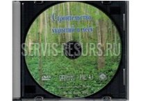 Выживание в автономных условиях. Строительство укрытий в лесу Выживание в автономных условиях. Строительство укрытий в лесу