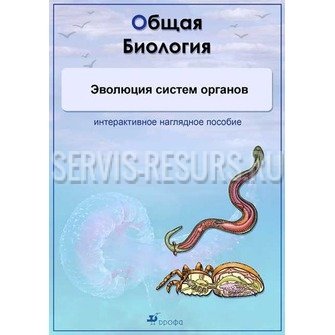 Интерактивные наглядные пособия. Общая биология. Эволюция систем органов. (CD, DVD-box) Интерактивные наглядные пособия. Общая биология. Эволюция систем органов. (CD, DVD-box)