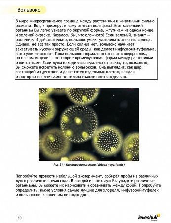 Набор для опытов с микроскопом Levenhuk K50 Набор для опытов с микроскопом Levenhuk K50