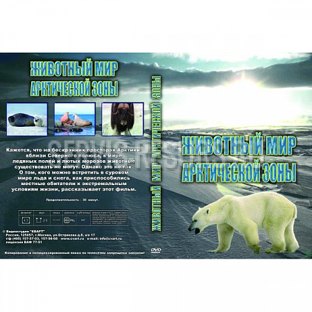 Учебный DVD Животный мир  Арктической зоны 30 мин.