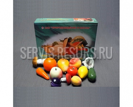 Комплект муляжей для рисования