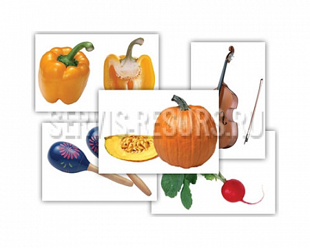 Набор предметных картинок «Овощи. Музыкальные инструменты» (48 шт. , А4, с магнитами)