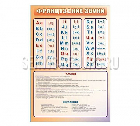 Стенд «Французский алфавит с транскрипцией» 1000х700 мм