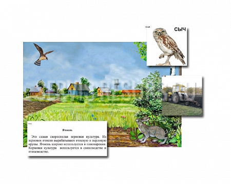 Магнитный плакат-аппликация / Поле: биоразнообразие и взаимосвязи в сообществе