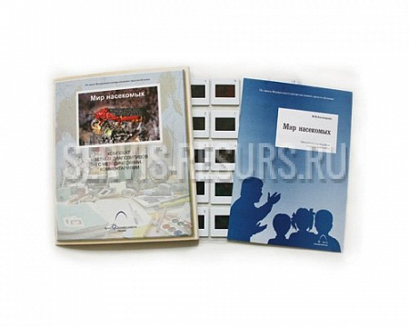 Слайд-комплект «Мир насекомых»