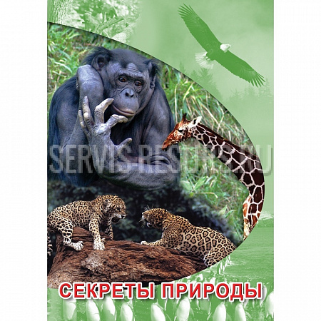 Учебный DVD Секреты природы, 175 мин. Учебный DVD Секреты природы, 175 мин.