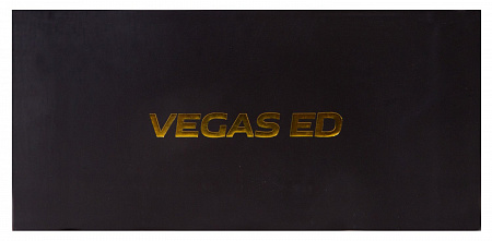 Бинокль Levenhuk Vegas ED 10x42
