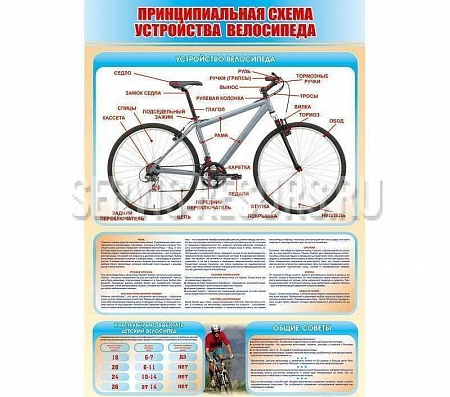 Стенд «Принципиальная схема устройства велосипеда» 700х1000 мм Стенд «Принципиальная схема устройства велосипеда» 700х1000 мм