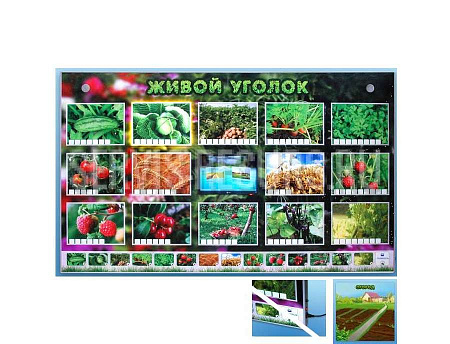 Комплект оборудования «Живой уголок» (растения) НЧ1071