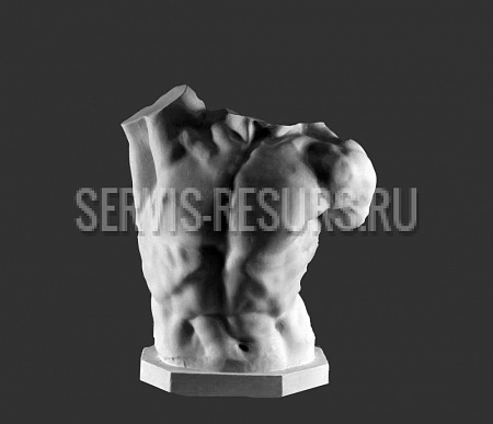 Торс statuya