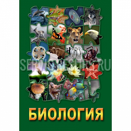 Учебный DVD Биология-3 (тип хордовые, класс птицы , класс млекопитающие) 108 мин.