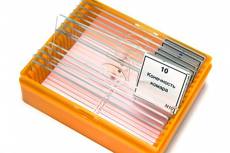 Набор готовых микропрепаратов Levenhuk N10 NG Набор готовых микропрепаратов Levenhuk N10 NG