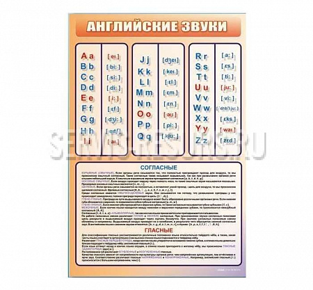 Стенд «Английский алфавит с транскрипцией» 1000х700 мм